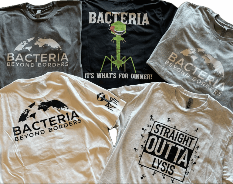 group of t shirts